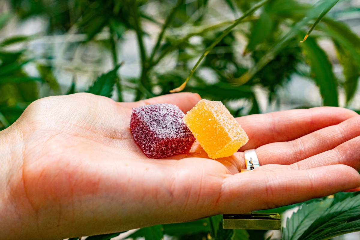 Edibles, co jsou a jaké mají účinky